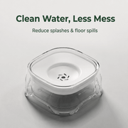 Mindful Hydration Bowl